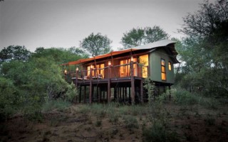 kapama buffalo camp [320x200]